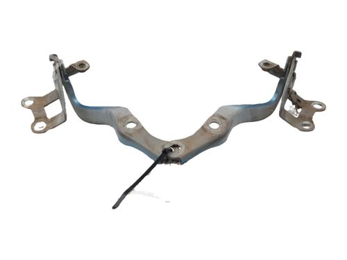 Used Hinge/Door check strap Hinge/Door check strap 37156456 37156456