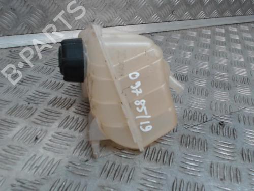 Expansion tank RENAULT KANGOO Express (FW0/1_) 1.5 dCi 90 (FW0G, FW05, FW08, FW11) | BP24281165C120 