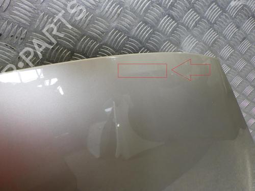Hood RENAULT SCÉNIC III (JZ0/1_) 1.9 dCi (JZ0J, JZ1J, JZ1K, JZ1S) | BP24279483C1