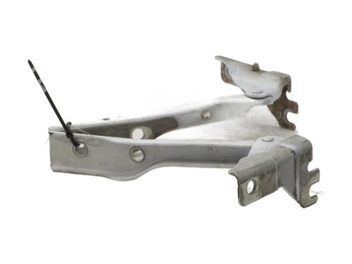 Hinge/Door check strap VW POLO V (6R1, 6C1) 1.0 | BP29028221C146 