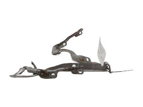 Hinge/Door check strap PEUGEOT 207 (WA_, WC_) 1.6 HDi | BP29119850C146 