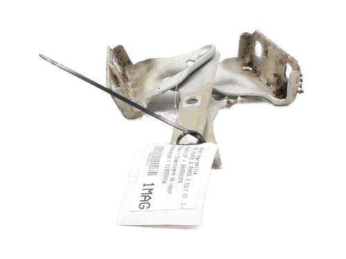 Hinge/Door check strap FIAT PUNTO (188_) 1.3 JTD 16V | BP31045269C146