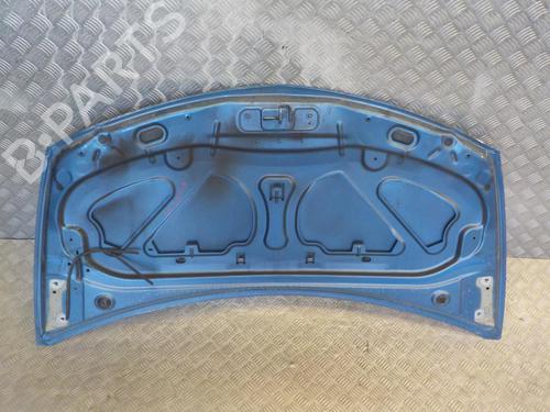 Hood RENAULT CLIO III (BR0/1, CR0/1) 1.2 16V (BR0P, CR0P) | BP24281747C1 