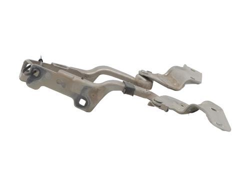 Hinge/Door check strap RENAULT CLIO III (BR0/1, CR0/1) 1.5 dCi (C/BR0G, C/BR1G) | BP27624635C146 