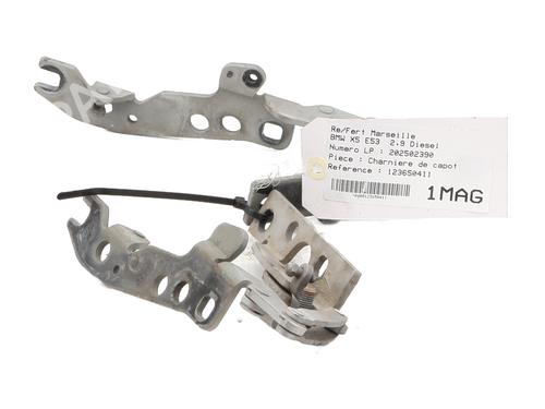 Hinge/Door check strap BMW X5 (E53) 3.0 d | BP33707332C146 - Image 4