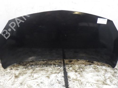 Panser RENAULT TWINGO II (CN0_) 1.2 16V (CN04, CN0B) (75 hp) 32504873