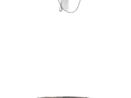 Køfangervange RENAULT CLIO III (BR0/1, CR0/1) 1.5 dCi (BR17, CR17) (86 hp) 32760378