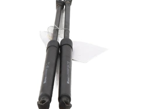 gasdmper-bagklap-renault-megane-iv-hatchback-b9amn_-2015-31881424 main image