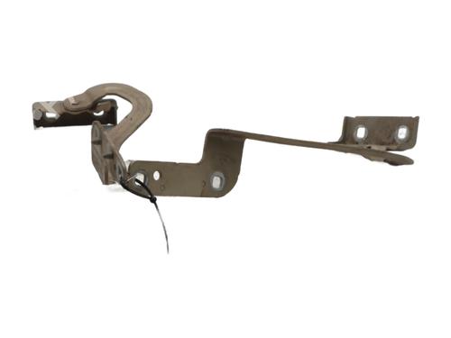 Used Hinge/Door check strap Hinge/Door check strap RENAULT MODUS / GRAND MODUS (F/JP0_) 1.4 (JP01, JP0J) (98 hp) 29142154 29142154