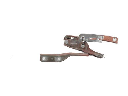 Hinge/Door check strap PEUGEOT 307 (3A/C) 2.0 HDi 110 | BP27733974C146 