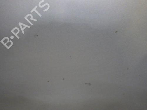 Tailgate RENAULT KANGOO (KC0/1_) 1.9 dCi 4x4 (KC0V) | BP29599059C6 