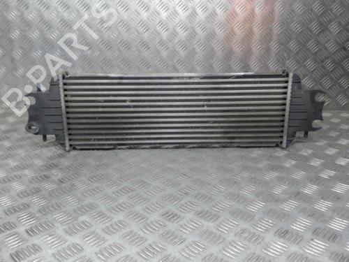 Intercooler RENAULT TRAFIC II Van (FL) 1.9 dCi 100 (FL0C, FL0K, FL0B) | BP24280634M30 - Image 2