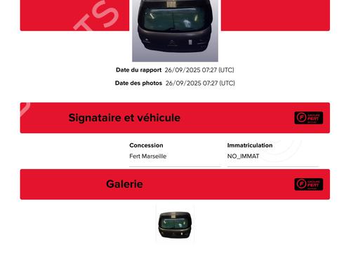 Tailgate CITROËN C4 II (NC_) 1.6 VTi 120 (NC5FS0, NC5FS9) | BP29201205C6 