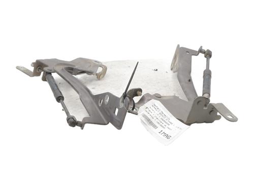 hingedoor-check-strap-renault-scenic-iii-jz01_-2008-2009-2010-2011-2012-2013-2014-2015-2016-27663399 main image