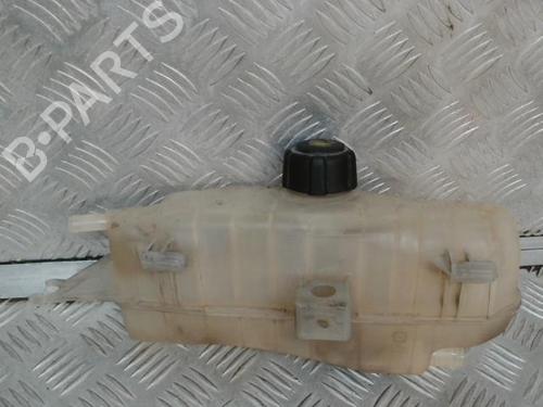 Expansion tank RENAULT CLIO III (BR0/1, CR0/1) 1.2 16V (BR0P, CR0P) | BP24282099C120 