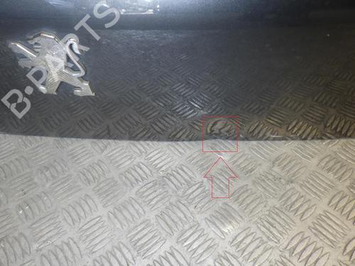 Tailgate PEUGEOT 3008 I MPV (0U_) 1.6 HDi | BP24272656C6 