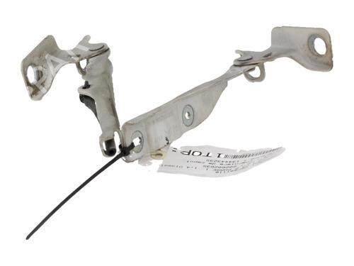 hingedoor-check-strap-citroen-c3-ii-sc_-2009-40118331 main image