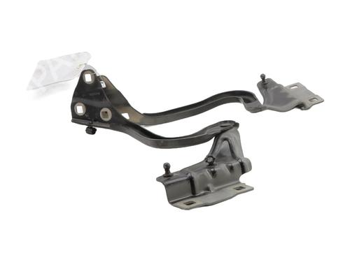 hingedoor-check-strap-renault-megane-iv-hatchback-b9amn_-2015-27346547 main image