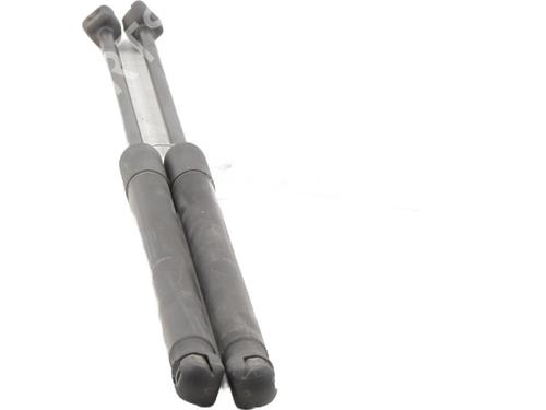 Tailgate lift support DACIA SANDERO 1.2 16V | BP30643056C138