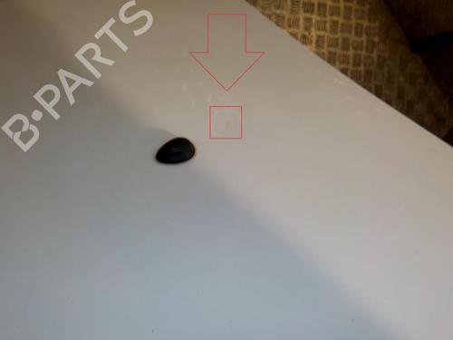 Used Hood Hood RENAULT CLIO III (BR0/1, CR0/1) 1.5 dCi (C/BR0G, C/BR1G) (68 hp) 24280612 24280612