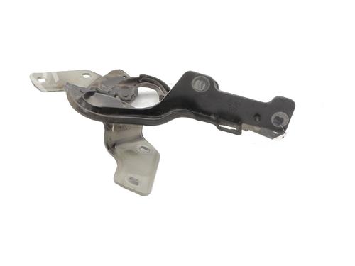 Hinge/Door check strap RENAULT CLIO III (BR0/1, CR0/1) 1.5 dCi (C/BR0G, C/BR1G) | BP25440990C146 