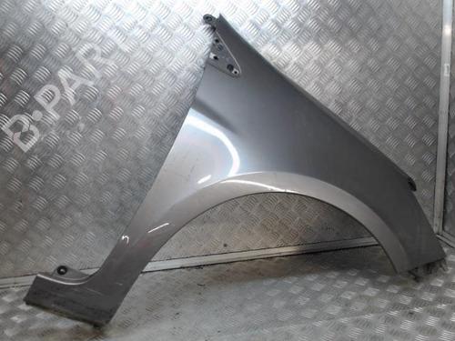 Right front fenders RENAULT CLIO III (BR0/1, CR0/1) 1.5 dCi | BP24272974C42 