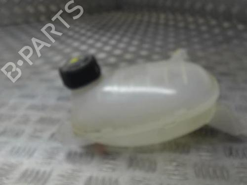 Expansion tank RENAULT EXPRESS Box Body/MPV 1.5 Blue dCi 95 (F6AB) | BP24272233C120