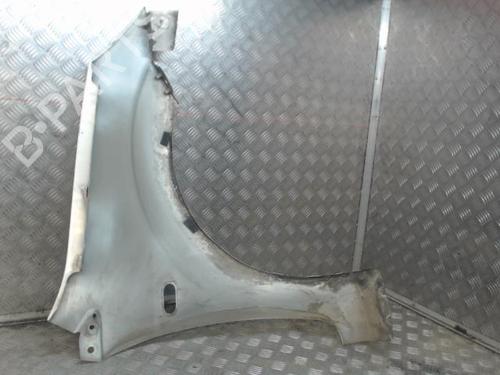 Left front fenders FORD FIESTA V (JH_, JD_) 1.3 | BP25026317C41 
