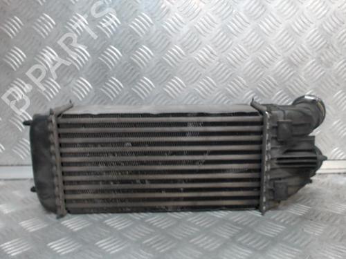 Intercooler CITROËN C3 II (SC_) 1.6 HDi (92 hp) 24279247