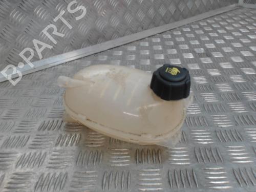 Used Expansion tank Expansion tank RENAULT CLIO V (B7_) 1.0 LPG (B7MT) (101 hp) 24283079 24283079
