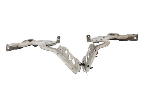hingedoor-check-strap-citroen-c4-ii-nc_-2009-39090709 main image
