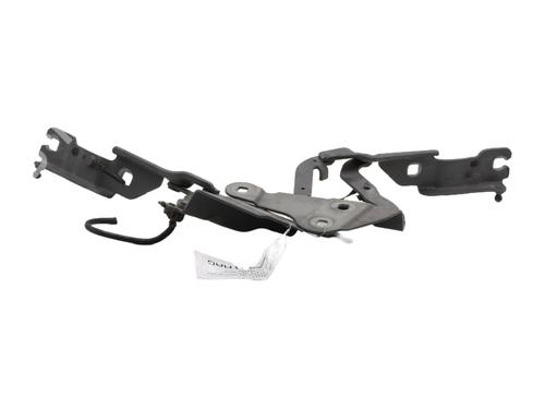 Used Hinge/Door check strap BMW X1 (E84) xDrive 20 d (177 hp) 29506479