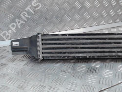 Intercooler CITROËN NEMO Box Body/MPV (AA_) 1.3 HDi 75 | BP24281076M30  - Image 7