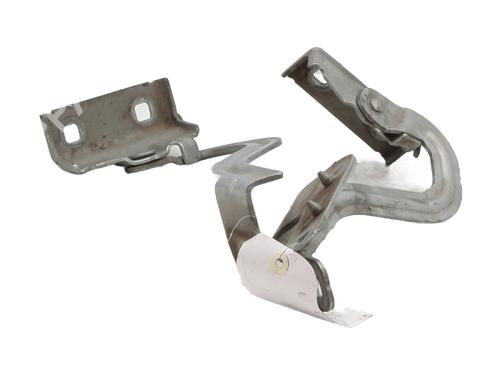 hingedoor-check-strap-renault-modus-grand-modus-fjp0_-2004-31884083 main image