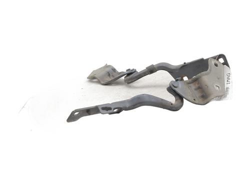 Hinge/Door check strap RENAULT CLIO III (BR0/1, CR0/1) 1.5 dCi (BR17, CR17) | BP27722799C146 