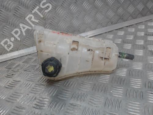 Used Expansion tank RENAULT KANGOO Express (FW0/1_) 1.5 dCi 90 (FW0G, FW05, FW08, FW11) (90 hp) 24265859