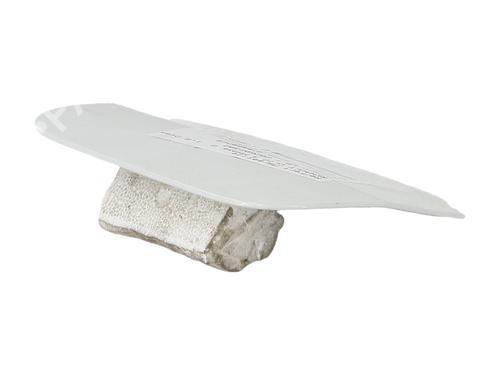 fuel-flap-renault-clio-iii-br01-cr01-2005-2006-2007-2008-2009-2010-2011-2012-2013-2014-39981796 main image