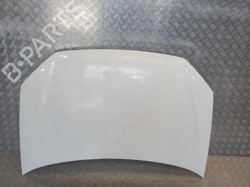 Used Hood VW POLO (9N_, 9A_) 1.4 TDI (70 hp) 24281804
