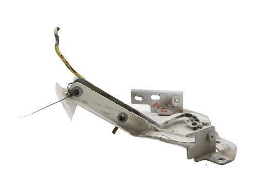 Hinge/Door check strap CITROËN C4 Picasso I MPV (UD_) 1.6 HDi 110 | BP29184865C146 