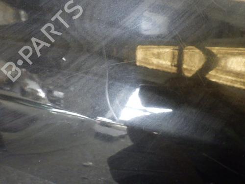 Used Left front door Left front door RENAULT CLIO III (BR0/1, CR0/1) 1.5 dCi (C/BR0G, C/BR1G) (68 hp) 24272441 24272441
