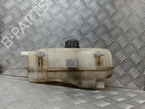 Used Expansion tank RENAULT CLIO III (BR0/1, CR0/1) 1.5 dCi (C/BR0G, C/BR1G) (68 hp) 24277158