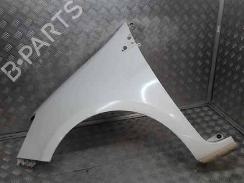 Left front fenders RENAULT CLIO III (BR0/1, CR0/1) 1.5 dCi (C/BR0G, C/BR1G) | BP24265654C41 