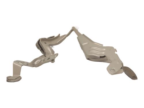 Hinge/Door check strap JEEP AVENGER (J2) 1.2 T3 e-Hybrid | BP24274751C146 