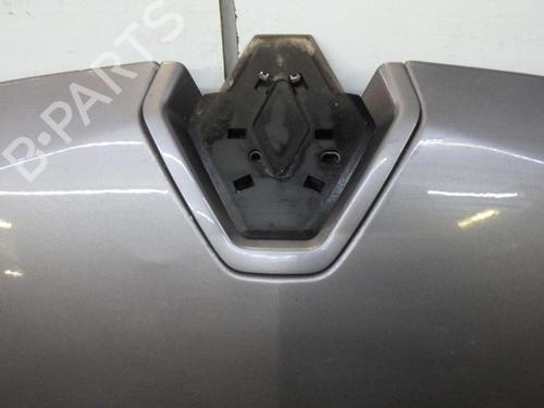 Hood RENAULT MEGANE III Hatchback (BZ0/1_, B3_) 1.5 dCi (BZ09, BZ0D, BZ1W, BZ29, BZ14) | BP29039790C1 