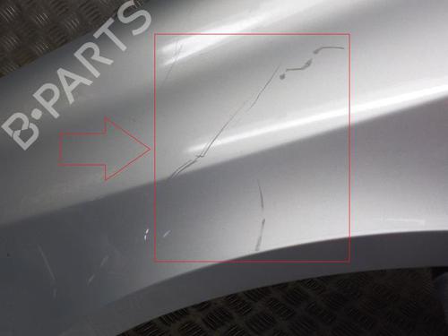Used Left front fenders RENAULT LAGUNA II (BG0/1_) 1.9 dCi (BG08, BG0G) (120 hp) 24282301