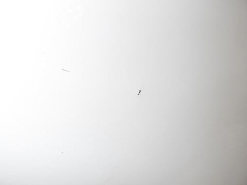 Højre side skydedør Højre side skydedør 24271877 24271877