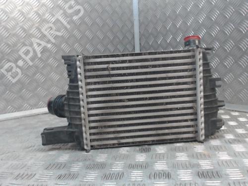 Used Intercooler Intercooler DACIA DUSTER (HS_) 1.2 TCe 125 (125 hp) 24269072 24269072