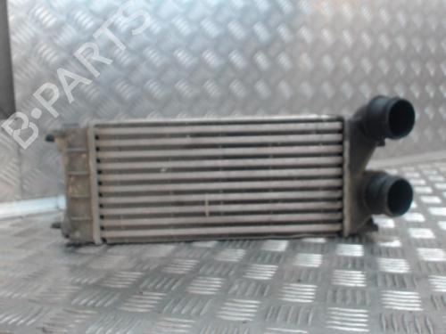 Used Intercooler Intercooler PEUGEOT PARTNER Tepee 1.6 HDi 90 (92 hp) 24281016 24281016