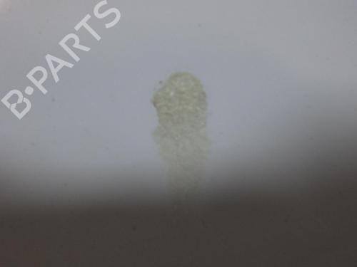 Hood FIAT PUNTO (188_) 1.3 JTD 16V | BP31067640C1