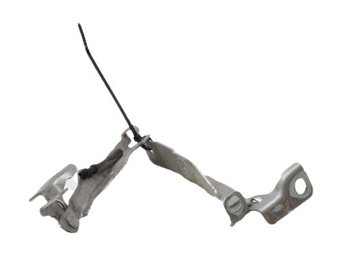 hingedoor-check-strap-citroen-c3-ii-sc_-2009-37188411 main image